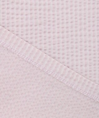 J.PRESS LADIES L 【WEB限定カラーあり・抗菌消臭・吸水速乾】サッカージャージー キーネック カットソー ふじ色系1