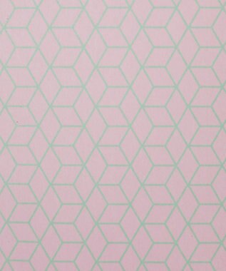 TRICOTE DICTIONARY SYUGI BUKURO 10GEOMETRIC