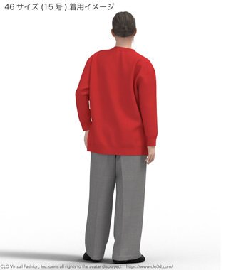 23区 L 【Lサイズ限定】ヴィスコースストレッチ Ｖネック ニット レッド系