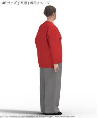 23区 L 【Lサイズ限定】ヴィスコースストレッチ Ｖネック ニット レッド系