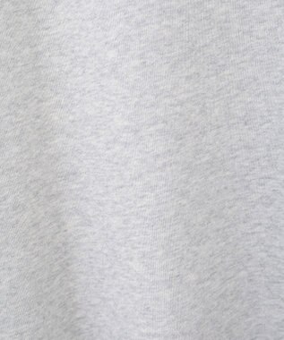 AMERICAN HOLIC ＥＶＡＮＳＴＯＮ　ミニ裏毛プルオーバー Light Gray Mixture