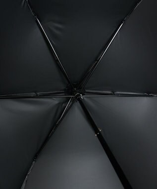 AURORA 【 Beaurance （ビューランス）】プリント額縁柄晴雨兼用傘（折りたたみ傘） ペールピンク