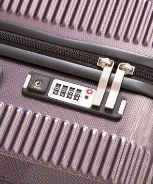 ACE BAGS & LUGGAGE World Traveler ボトムベイ スーツケース 53リットル 3~5泊 3.9kg キャスターストッパー 双輪キャスター 06952 ワールドトラベラー キャリーケース ピンクカーボン