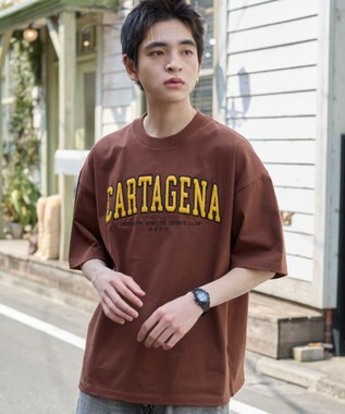 WEGO 【ユニセックス着用アイテム/MLサイズ展開】サガラワッペンロゴBIG　T（SS） ブラウン