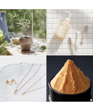 antina gift studio SAYU(サユウ) e-order choice(カードカタログ) ＜さびせいじ＞ -