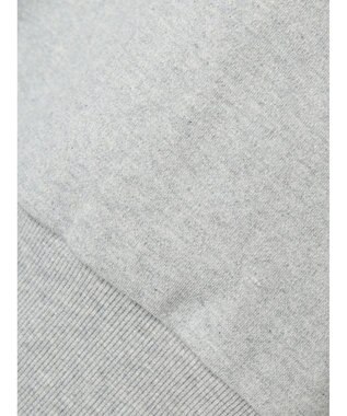 AMERICAN HOLIC 発泡ロゴポンチプルオーバー Light Gray Mixture