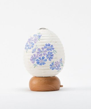 ちょうちん堂 【あかり道】〈手書絵付〉チコリ ちょうちん ライト