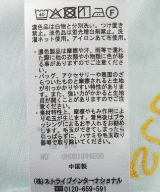 AMERICAN HOLIC ランダムロゴ刺繍リンガーTシャツ Mint