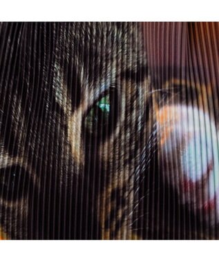 UNBILLION カシュカシュ cachecache / インクジェットプリーツトート ブラウン