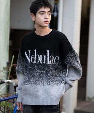 WEGO 【ユニセックス着用ITEM/MLサイズ展開】ファジーグラデーションプルオーバー