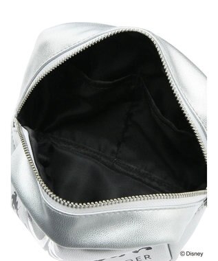 Green Parks Ｄｉｓｎｅｙ１００／ポーチ Silver