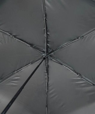 AURORA Blao（ブラオ）超耐風 花柄オールシーズン傘（折りたたみ・60㎝） ブラック