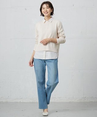 J.PRESS LADIES 【洗える】Reeves  Shine クルーネック ニット ベージュ系