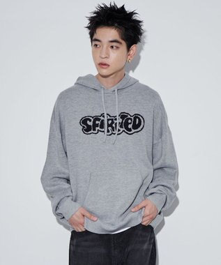 WEGO 【ユニセックス着用ITEM】ジャガードグラフィックパーカー グレー