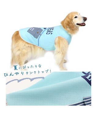 PET PARADISE Ｌｅｅポーチ ブルー Tシャツ 【中型犬】【大型犬】クールマックスエコメイド 青