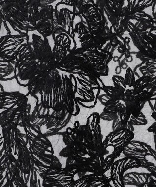 AMERICAN HOLIC 前後２WAYシアーレースブラウス Black