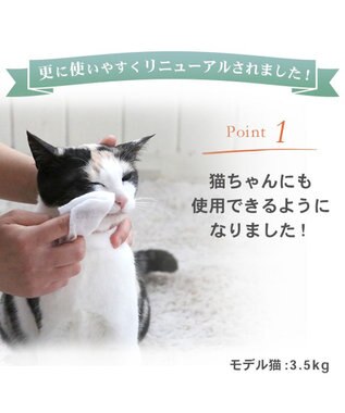 PET PARADISE ペットパラダイス ペット用 涙やけ クリーン シート （60枚入） -