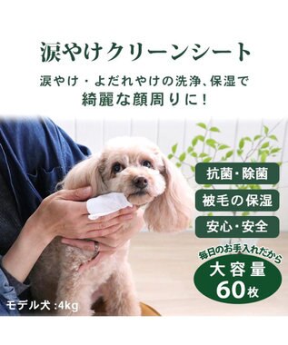 PET PARADISE ペットパラダイス ペット用 涙やけ クリーン シート （60枚入） -