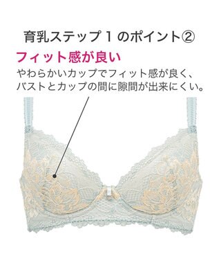 BRADELIS New York 【BRADELIS New York】ウェンディステップ１ブラ23S3　ふんわり包んでナチュラルなシルエットを作る補正ブラ ミント