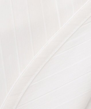 J.PRESS LADIES 【洗える・3way】スタンド リボン デコカラー 付け襟 ホワイト系1