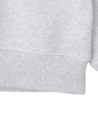 AMERICAN HOLIC カレッジロゴ裏毛スウェット Light Gray