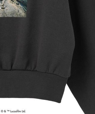 Green Parks ＳＴＡＲ　ＷＡＲＳ／オフショルスウェット Charcoal Gray