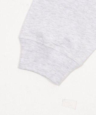 WEGO グラフィックBIG　T（長袖） アッシュグレー