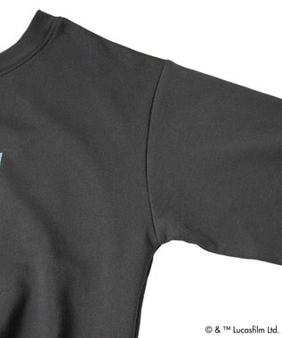 Green Parks ＳＴＡＲ　ＷＡＲＳ／オフショルスウェット Charcoal Gray