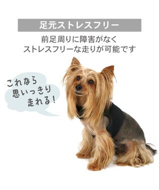 PET PARADISE Lee フード付き メッシュハーネス ３Ｓ ブラック