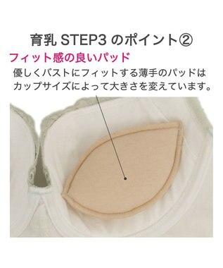 BRADELIS New York 【BRADELIS New York / 育乳STEP3 持ち上げる】ヴィオラステップ3ブラ24A1 補正 ライトグリーン