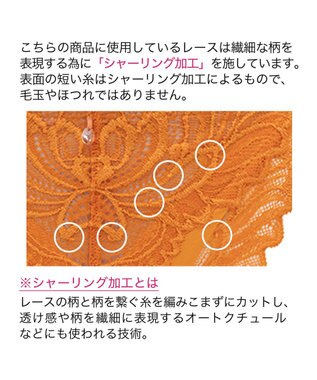 BRADELIS New York 【BRADELIS New York】　サポートバックラインスタイルパンティ23A1 マリーゴールド