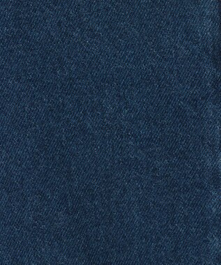 Green Parks ２ｗａｙデニムベスト Indigo