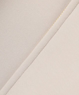 J.PRESS LADIES S 【WEB限定】ダンボールジャージー ハイネック ブルゾン 【WEB限定】グレージュ系