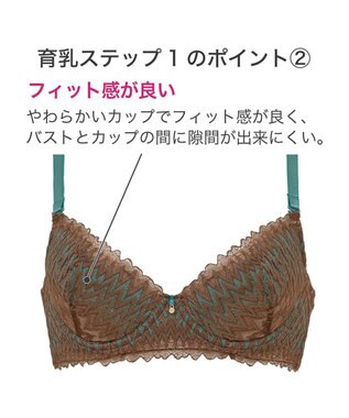 BRADELIS New York 【BRADELIS New York】ウェンディステップ１ブラ23S1 ふんわり包んで土台を作る育乳補整ブラ 補正下着 ブラウン