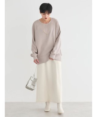 AMERICAN HOLIC バックＶラグランスウェット Gray Beige