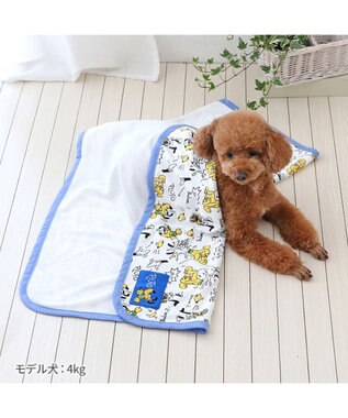 PET PARADISE ディズニー プルート クールケット 小型犬 ブランケット