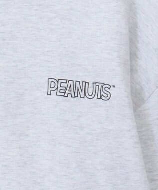 Green Parks ■ＰＥＡＮＵＴＳ　コミックロンＴ Oatmeal