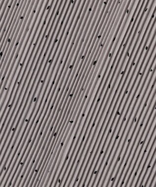 ANY L 【ウエストゴム】プリーツアイラインスカート グレー