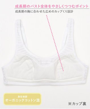 Wing ジュニア ノンワイヤーブラ Wing Teen バストをやさしく包みこむ オーガニックコットン混(身生地部) 【STEP2 ふくらみはじめた胸に】 RB6120 ウイング／ワコール ホワイト