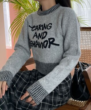 WEGO フラッフィーグラフィックちびニット 杢グレー