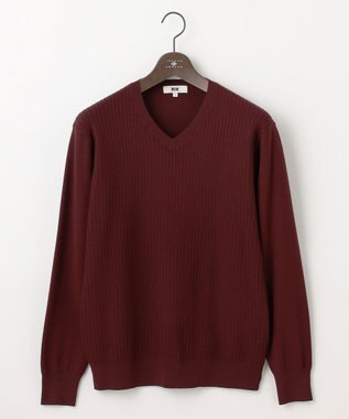 JOSEPH ABBOUD 【洗える/チクチクしない/3シーズン対応】SNOWY Vネック  ニット ワイン系