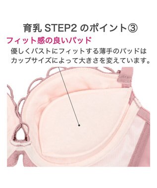 BRADELIS New York 【BRADELIS New York / 育乳補整ブラ・STEP2 寄せる】ナオミステップ2ブラ24S1 脇高設計でしっかり寄せ上げ ローズピンク