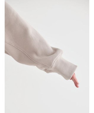 AMERICAN HOLIC バックＶラグランスウェット Gray Beige