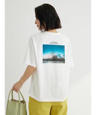 Green Parks バックフォトボックスＴシャツ