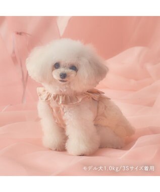 PET PARADISE cherircouture ローズチュールワンピース 《ピンク》 小型犬 ピンク