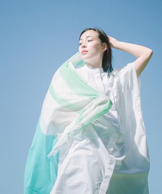 POLS 播州織 極細コットンストール エメラルド