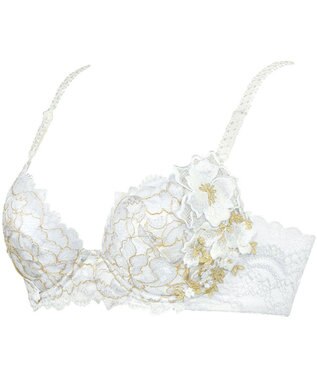 Wing Wing Lesiage　【2780シリーズ】　ブラジャー　ふっくらまる胸　総レース　ウイング／ワコール　PB2780 アイボリー