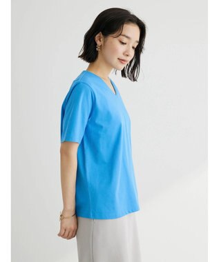 Green Parks 汗じみ防止ＶネックＴシャツ Brown