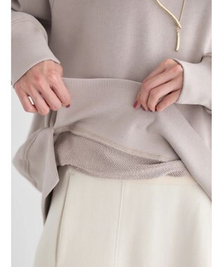 AMERICAN HOLIC バックＶラグランスウェット Gray Beige