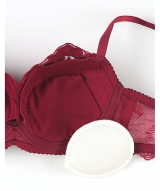 une nana cool 【ベロアのレースが特別感を演出】クリスマスモチーフブラ レッド